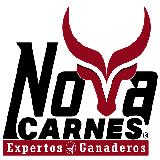 Nova Carnes